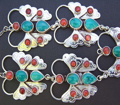nturquoisecoralbutterflyindiaa.jpg