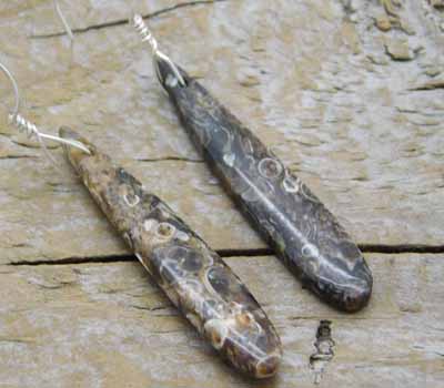 Turitella Fossil Earrings 1